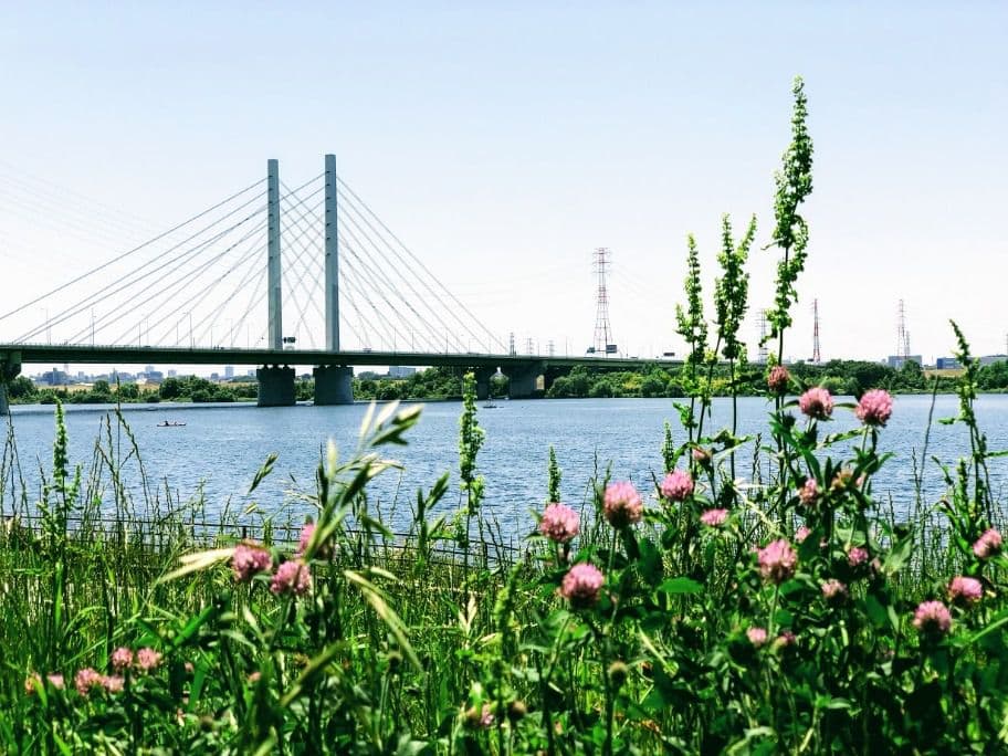 彩湖・道満グリーンパーク BBQガーデン 荒川 BBQ写真 バーベキューレンタル